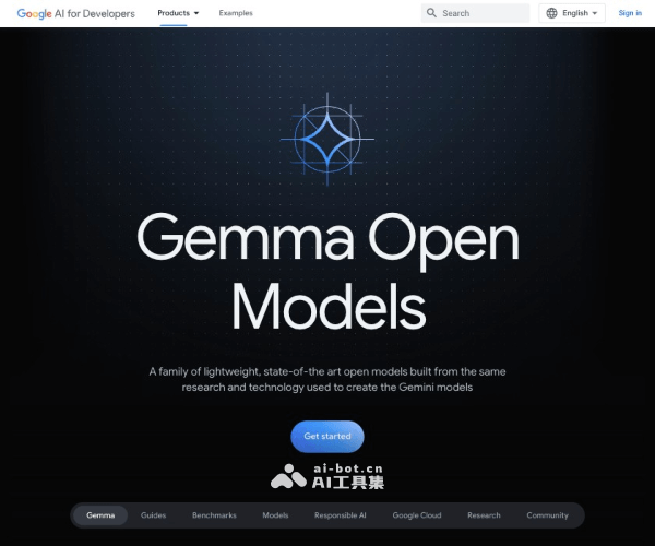 Gemma 模型 | Google AI for Developers