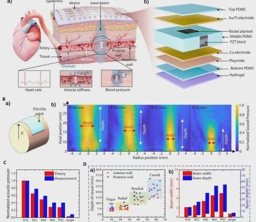 瞩目！一日狂揽顶刊5篇+1封面！中国团队硬核构筑柔性电子强国之路