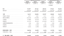 卧安机器人获港交所通过聆讯 目标成为AI具身家庭机器人第一股 