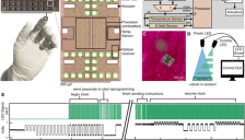 全球最小全自主微型机器人问世，成本仅1美分 