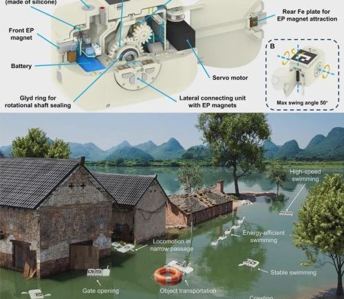 北大团队研发智能机器鱼，水下机器人能力再突破
