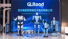 格蓝若机器人角逐维科杯年度评选 