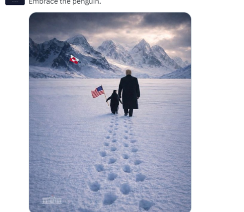 白宫公布特朗普与企鹅走向格陵兰岛AI生成图片