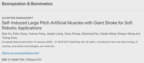 华南理工突破人造肌肉技术 软体机器人驱动迎革新