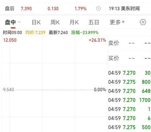 半年巨亏1500亿 全球第四大汽车巨头股价暴跌20% 电动化转型受挫 CEO调整战略 focus 美国市场