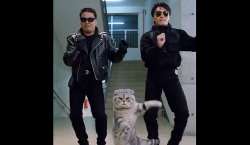 AI视频泛滥引担忧 周星驰经纪人质疑平台监管 影视飓风连发六次警告 字节跳动暂停真人视频上传