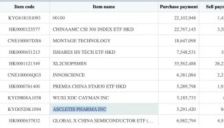 韩国股民再度抢购中国大模型龙头 