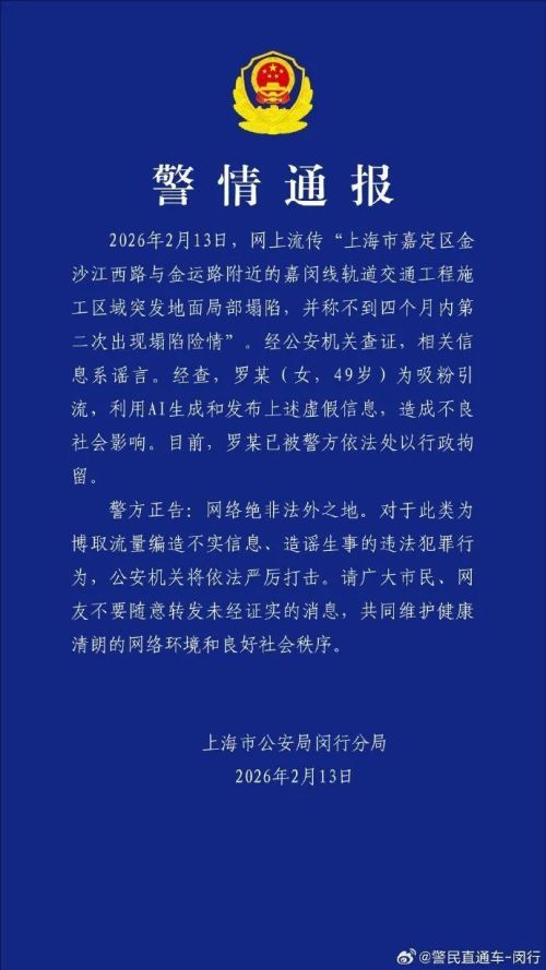 上海警方通报：罗某因发布嘉闵线施工区地面塌陷虚假信息被拘留