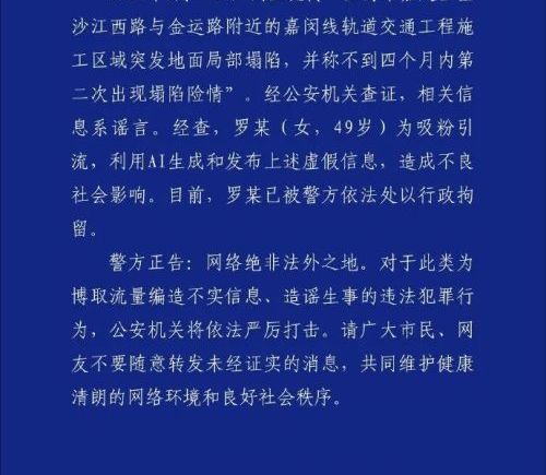 上海警方通报：罗某因发布嘉闵线施工区地面塌陷虚假信息被拘留