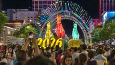 越南"特斯拉"目标交付30万辆 中国上市公司供货背后故事 