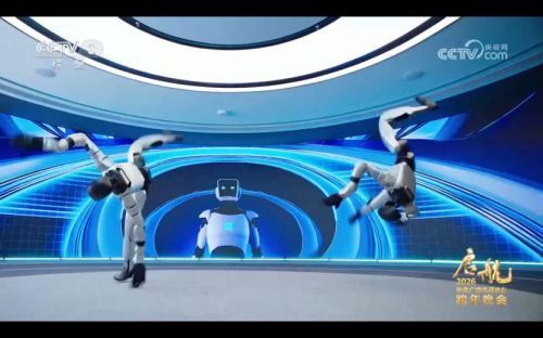 春节租机器人拜年引热议