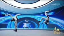 春节租机器人拜年引热议