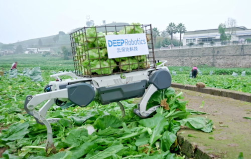 1772172706156452.png 9fbaf2a6e90d2d198aafd5ee6a599740.png