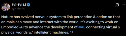 AI教母质疑人形机器人前景