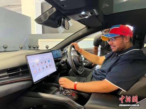 中国品牌汽车2025年在南非销量将大幅增长