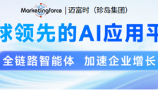 2026年3月性价比GEO服务方案TOP8 助力品牌AI时代认知资产构建 