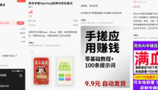 5元修bug9.9卖提示词 年轻人玩转AI副业新风口