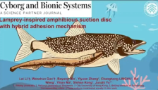 北大喻俊志团队研发七鳃鳗仿生吸盘 登Science合作期刊 吸附力达自重850倍 
