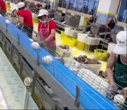 1774934453340076.png 556f72c081d6e0a1dbaa59490df1ce96.png