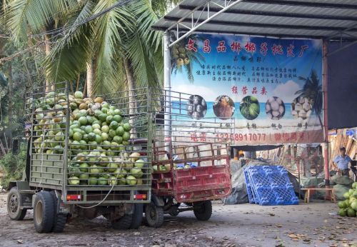 1774934516697633.jpg e277748d3152e8263909a08ad140efdb.jpg