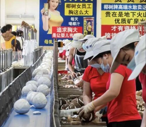 椰树集团采购50台人形机器人剥椰子 转型硬核科技